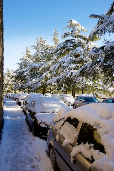 Huesca省Jaca和西班牙Pyrenees的雪地车 — 图库照片