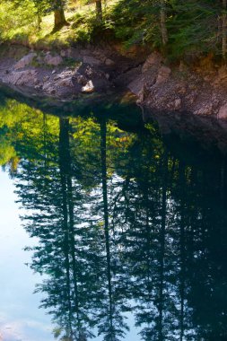 Aspe Valley 'deki sonbahar ormanı, Fransa' daki Pireneler.