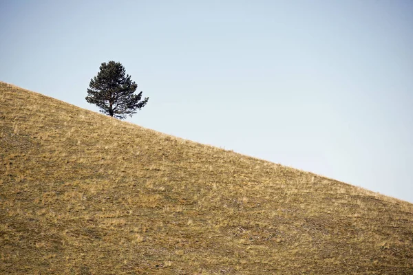 이무성 언덕에 프랑스 — 스톡 사진