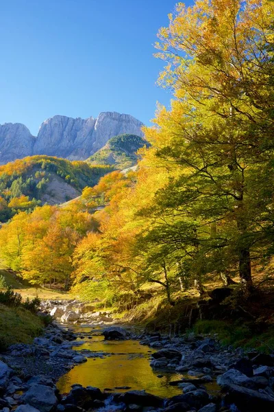 Bos Anso Valley Provincie Huesca Aragon Spanje — Stockfoto