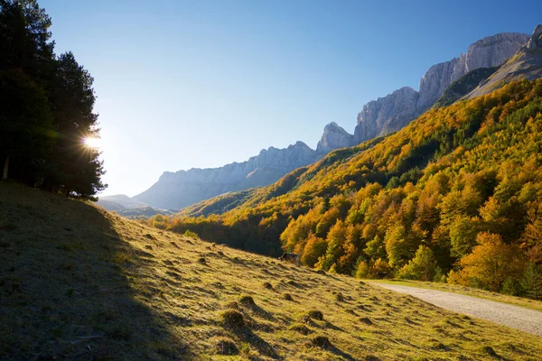 Floresta Vale Anso Província Huesca Aragão Espanha — Fotografia de Stock