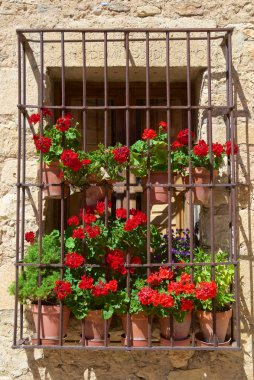 Pedraza köyünün tipik penceresi, Segovia vilayeti, Castilla Leon, İspanya.