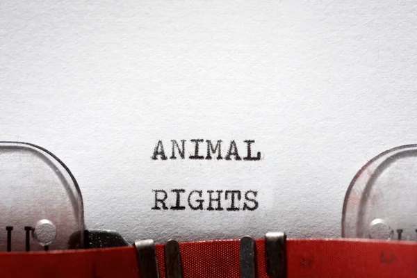 Frase Sui Diritti Degli Animali Scritta Con Una Macchina Scrivere — Foto Stock