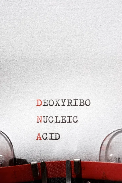 Frase Ácido Nucleico Desoxirribo Escrita Con Una Máquina Escribir — Foto de Stock