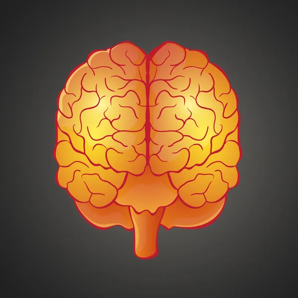 Graphic illustration of Brain — Stock Vector