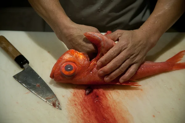 Обработка свежей рыбы — стоковое фото