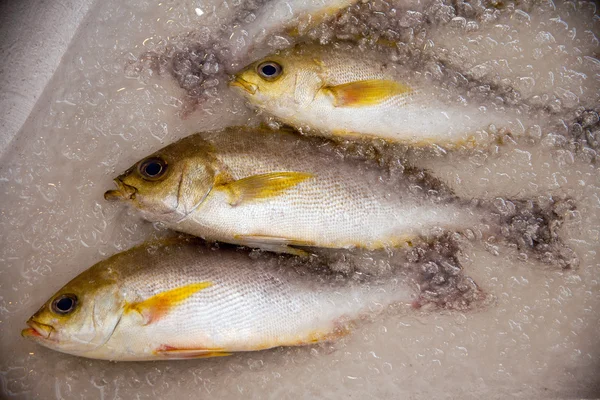 Свіжа риба обробки — стокове фото