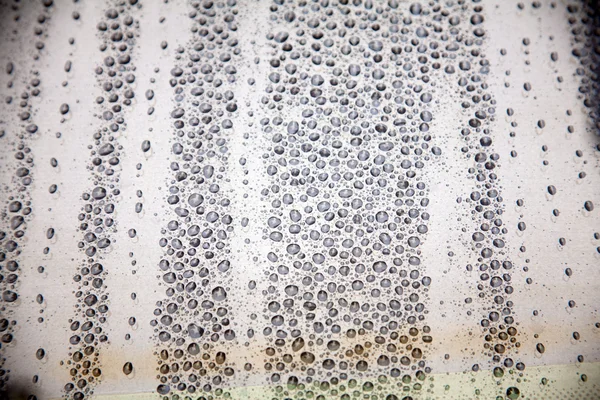 Капли дождя — стоковое фото