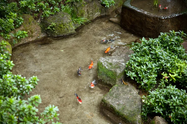 Jardín japonés — Foto de Stock