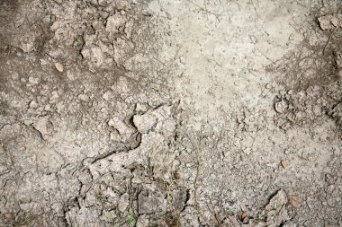Kuru kara yaz Field