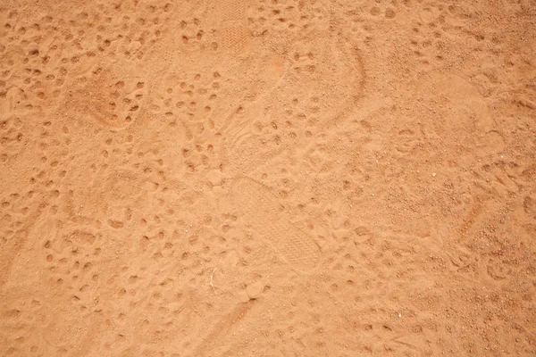 Red Land full of spikes footprints — Stock Photo, Image