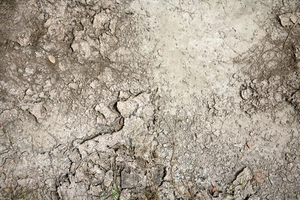 Trockenes Land auf dem Sommerfeld — Stockfoto