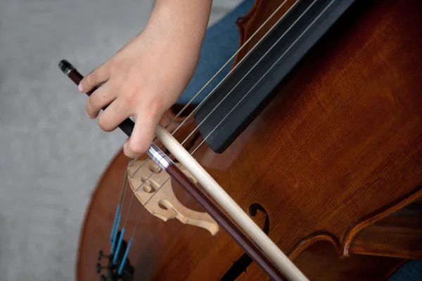 バイオリン奏者 — ストック写真