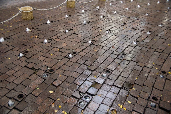 Brunnen mit Herbstblättern — Stockfoto