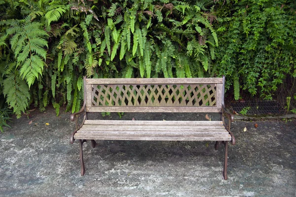 Wooden benches — Stock Photo, Image