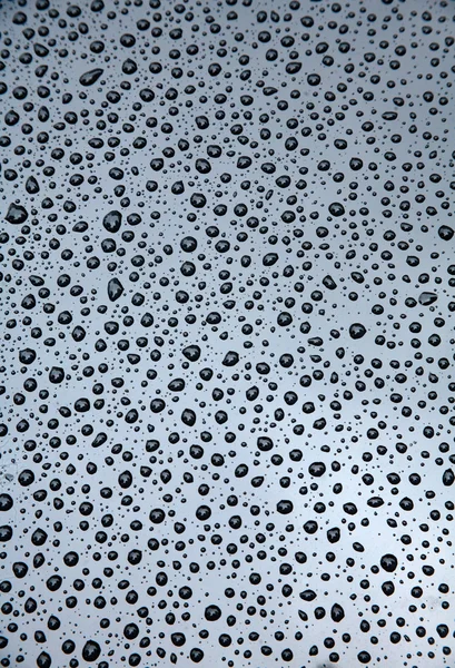 Raindrops over the black car — Stock Photo, Image