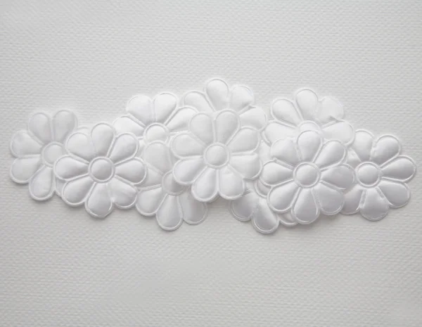 Λουλούδι λευκό μοτίβο φόντου — Φωτογραφία Αρχείου