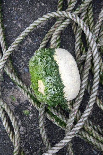 Buoy with rope — Stock Photo, Image