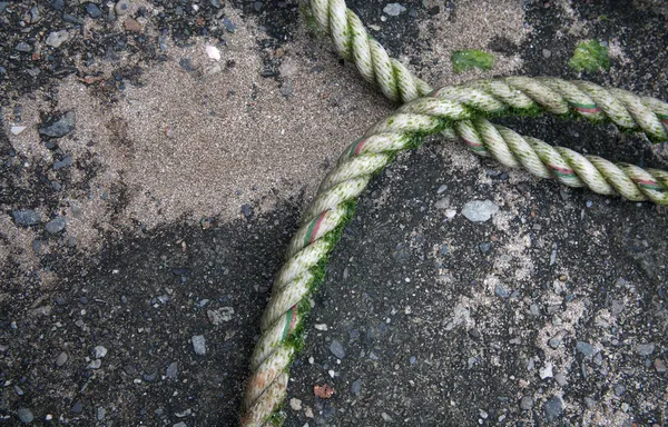 Boya con cuerda — Foto de Stock