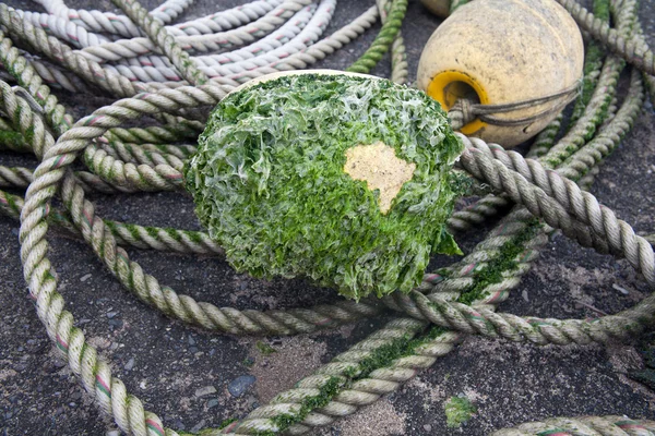 Boya con cuerda — Foto de Stock