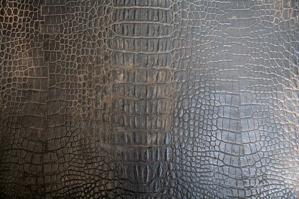 Black Crocodile upholstery leather — Stock Photo, Image