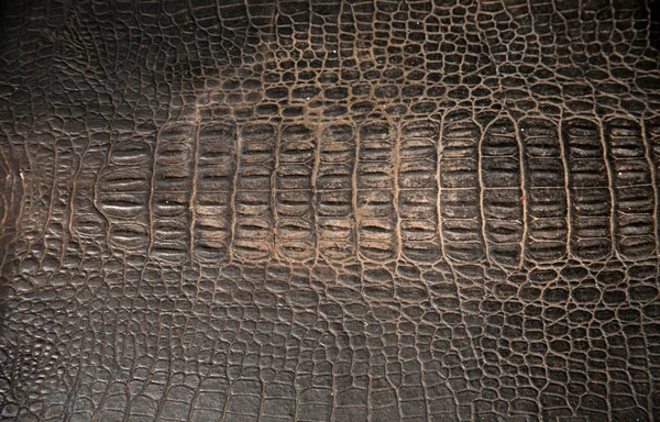 Черный крокодил обивка кожи — стоковое фото