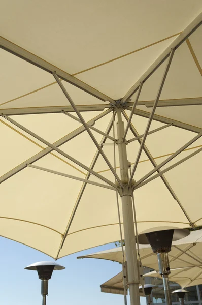 Umbrela Soarelui — Fotografie, imagine de stoc
