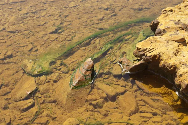 Rio poluído — Fotografia de Stock