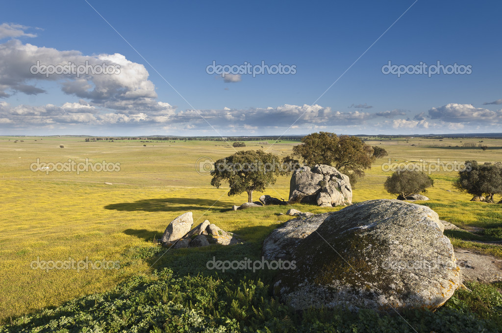 AlentejoLandschaft Stockfotografie lizenzfreie Fotos © mrfotos