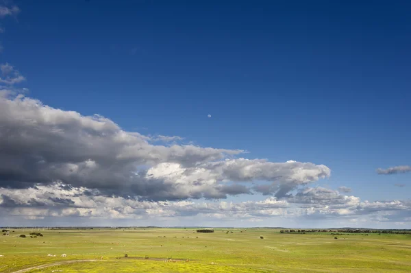 Alentejo landscape — Stock Photo, Image