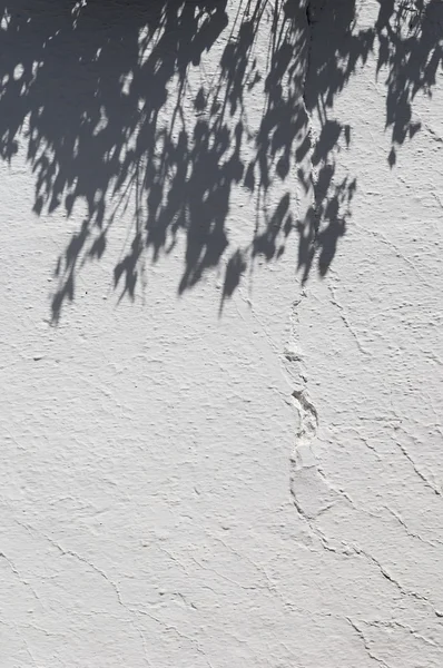 白塗りの壁 — ストック写真