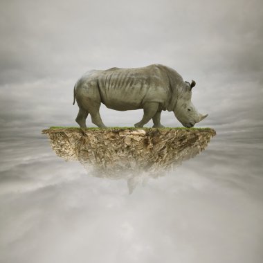 Rhino gökyüzünde kaya