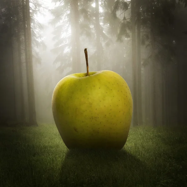 Großer Apfel im Wald — Stockfoto