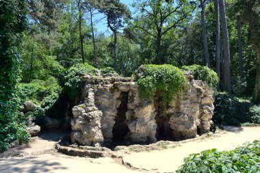 dendropark