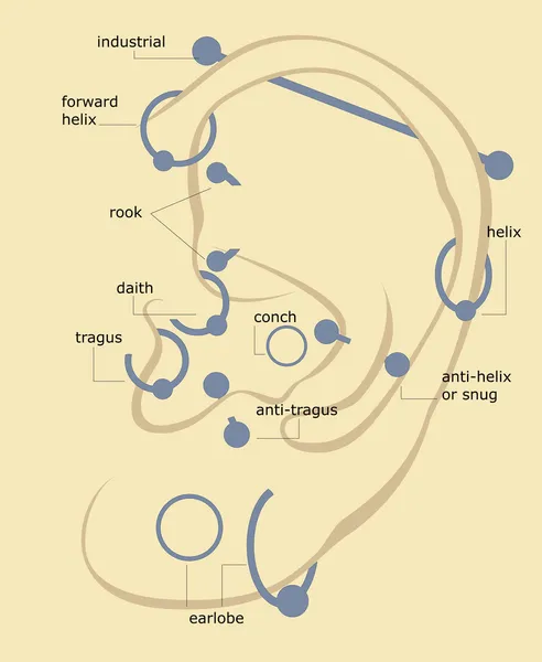 Piercings y pendientes en la oreja — Archivo Imágenes Vectoriales