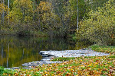 Sakin su ve renkli orman üzerine sonbahar Wiew