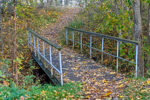 Hutan trail dengan jembatan melalui hutan musim gugur — Stok Foto