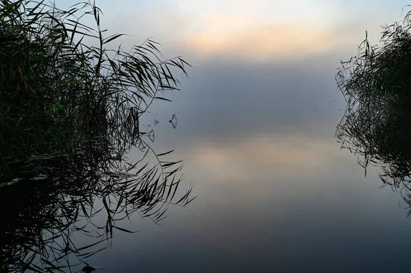 Early morning overlooking misty lake and sunrise — Stock Photo, Image