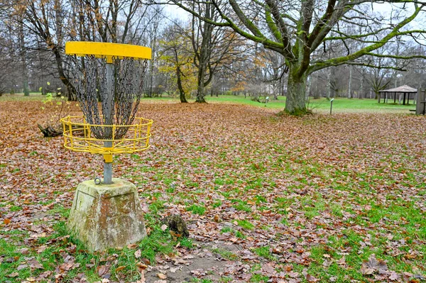 Docelowy kosz golfowy w jesiennym parku — Zdjęcie stockowe