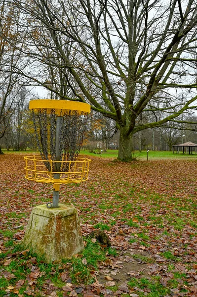 Docelowy kosz golfowy w jesiennym parku — Zdjęcie stockowe