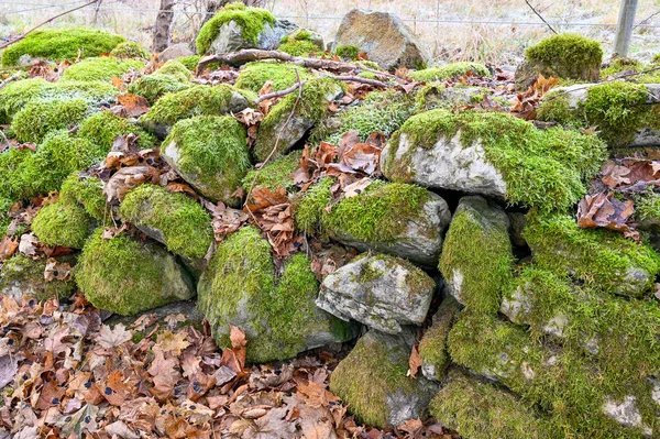 Vecchio muro di pietra ricoperto di muschio verde — Foto Stock