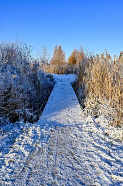 Soğuk bir aralık günü, kamış boyunca düz bir yol.