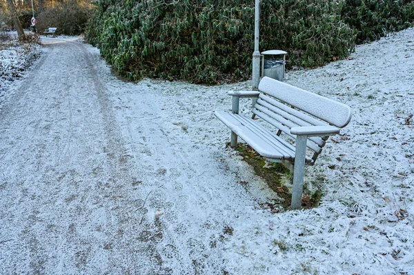 В декабре в общественном парке холодный день — стоковое фото