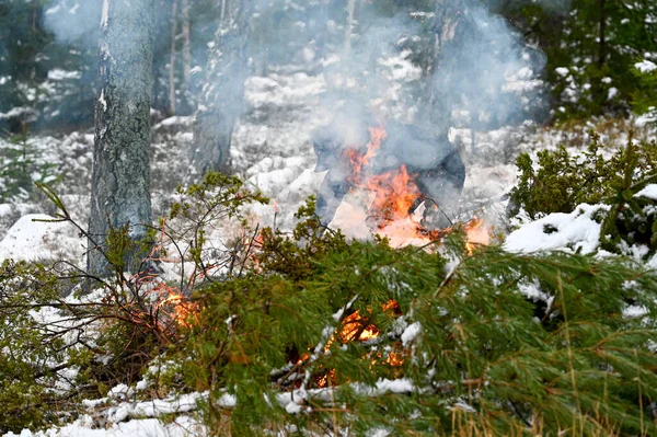 Monte de galhos queimando na floresta com chamas e fumaça — Fotografia de Stock