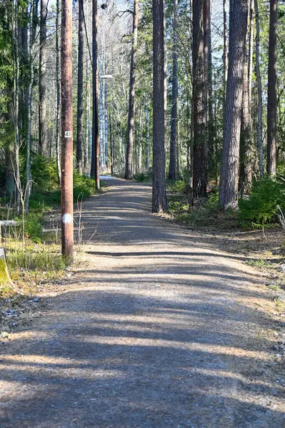 Sendero a través del bosque de primavera en Kumla Suecia — Foto de Stock