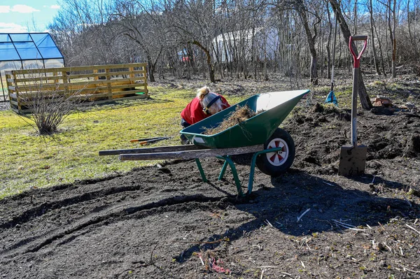 Diz çökmüş kadın baharda otları temizliyor.