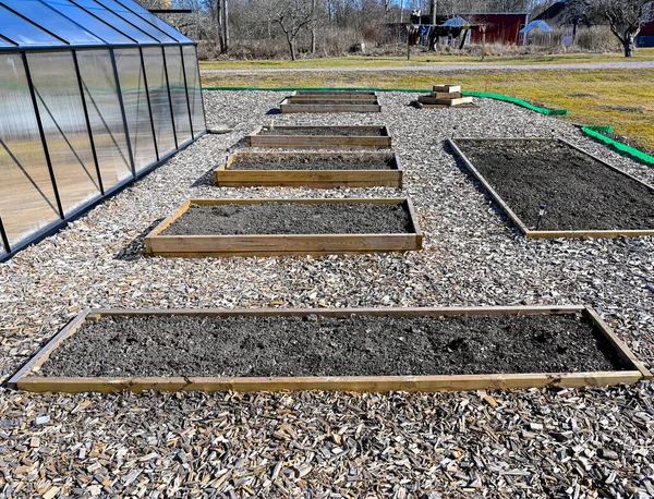 Cultiver des boîtes avec du sol prêt pour la plantation de pousses — Photo