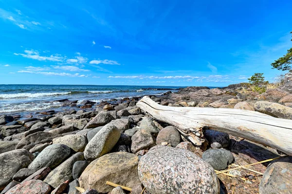 バルト海の岩のビーチで乾燥した流木｜Vattern Sweden — ストック写真