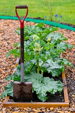 Çalı çırpı ve ayakta duran bir kürek ile tarım kutusu.