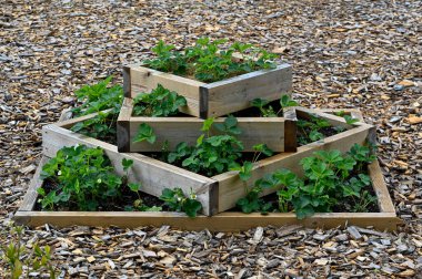 Bahçesinde çilek bitkileri olan kule Kumla İsveç 28 Mayıs 2022